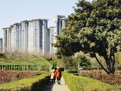 -洛阳市隋唐城遗址植物园