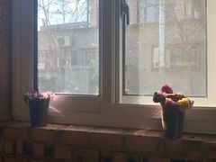 -VOYAGE COFFEE(北锣鼓巷店)