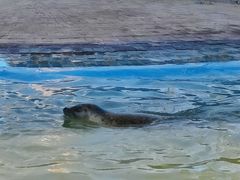 -北戴河圣蓝海洋公园