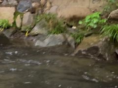 -藏龙百瀑漂流