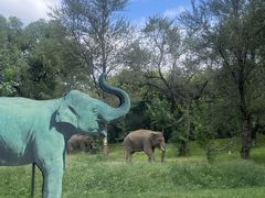 -北京野生动物园