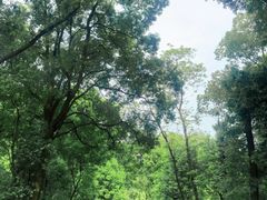 -忠山公园