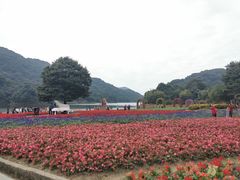 -广州市石门国家森林公园