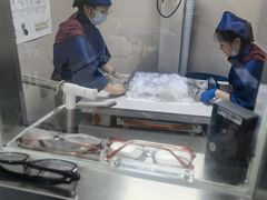 -瑞鹏宠物医院·骨外科·心肾科·肿瘤科(九亭店)