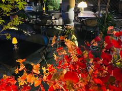 -Golden Lily河内巴黎法越料理餐厅(建国西路店)