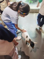 -Zoolung Zoolung动物主题公园(海信广场店)