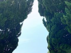 -小麦岛公园