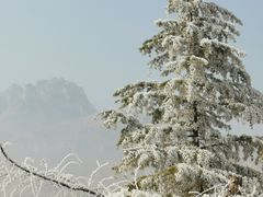 -天鹅湖生态旅游风景区