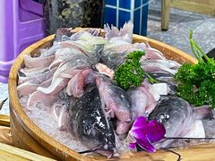 -吃城都·鱼蛙火锅(西玉龙街店)