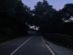 -梧桐山风景名胜区