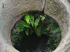 -前童古镇