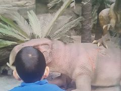 -国家自然博物馆