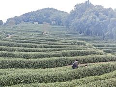 -国生茶庄·地道农家菜团建活动