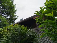 -峨眉山报国寺