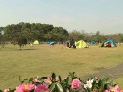 -艾溪湖湿地公园