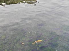 -百泉景区