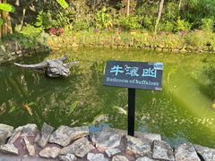 -燊海井