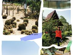 -东莞植物园