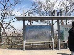 -紫金山山顶公园