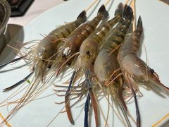 -翟辉冬瓜盅火锅(南村万博店)