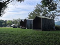 -银湖山郊野公园-相思林