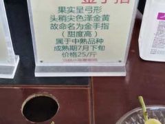 -马陆小张葡萄园农家乐