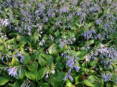 -辽东学院(南校区)