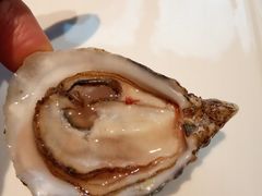 -普朗姆生蚝吧(原建国路店)