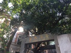 -香港大学