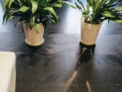 -峨嵋酒家(牡丹园店)