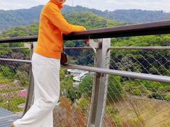 -云溪植物园