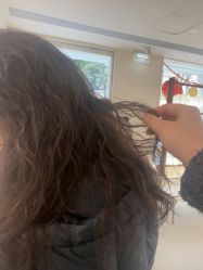 -SALON DE VANHADA