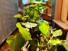 -邈墨茶馆(凤起路店)