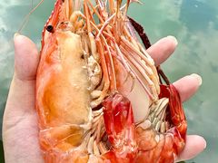 -小陆莲花蟹园农家乐(莲花岛店)