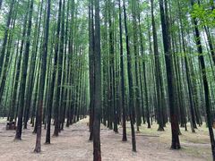 -山王坪喀斯特国家生态公园