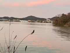 -晓琦农家菜馆·地道农家菜