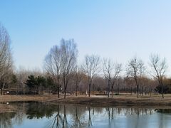 -东郊湿地公园