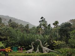-呀诺达热带雨林