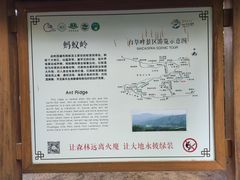 -野三坡百草畔景区
