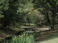 -上海共青森林公园