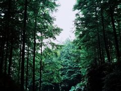 -重庆中央公园(渝北区)