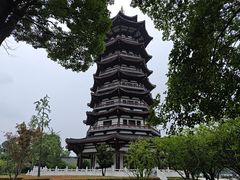 -洋湖国家湿地公园