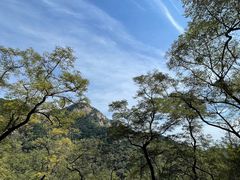 -泰山风景名胜区