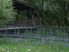 -西湖风景区-江洋畈生态公园
