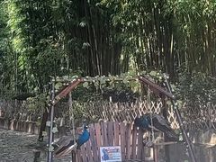 -蝴蝶泉公园