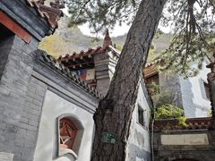 -圣莲山风景区