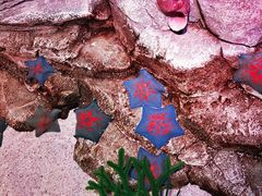 -沈阳海洋探索中心