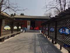 -北京市府学胡同小学