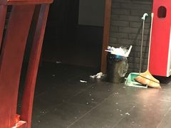 -孙家面馆(小康城店)