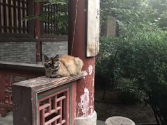 -西安化觉巷清真大寺